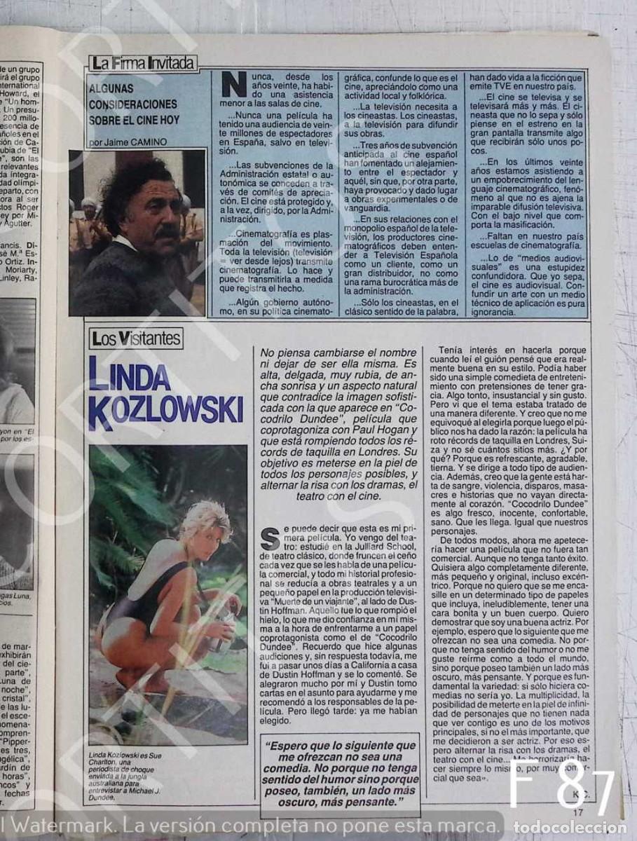 Sammeln: LINDA KOZLOWSKI