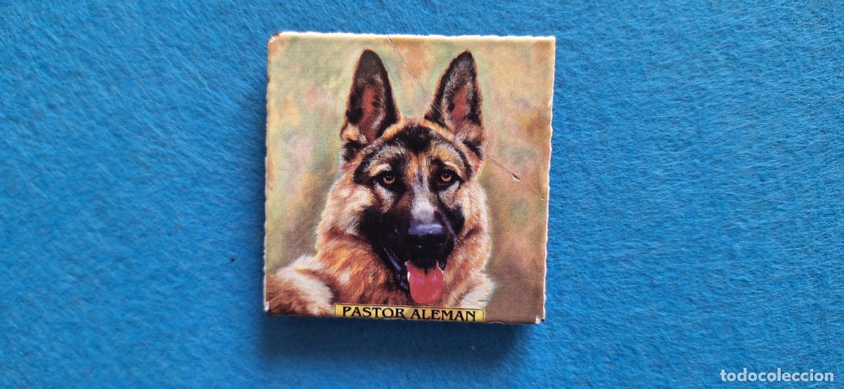 Coleccionismo: Peque&ntilde;a baldosa decoraci&oacute;n. Im&aacute;n de nevera. Imagen perro Pastor alem&aacute;n
