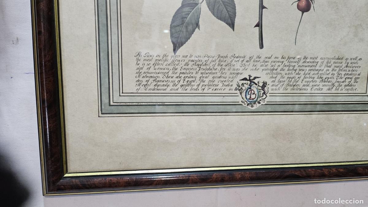 Coleccionismo: lamina flores - Foto 3