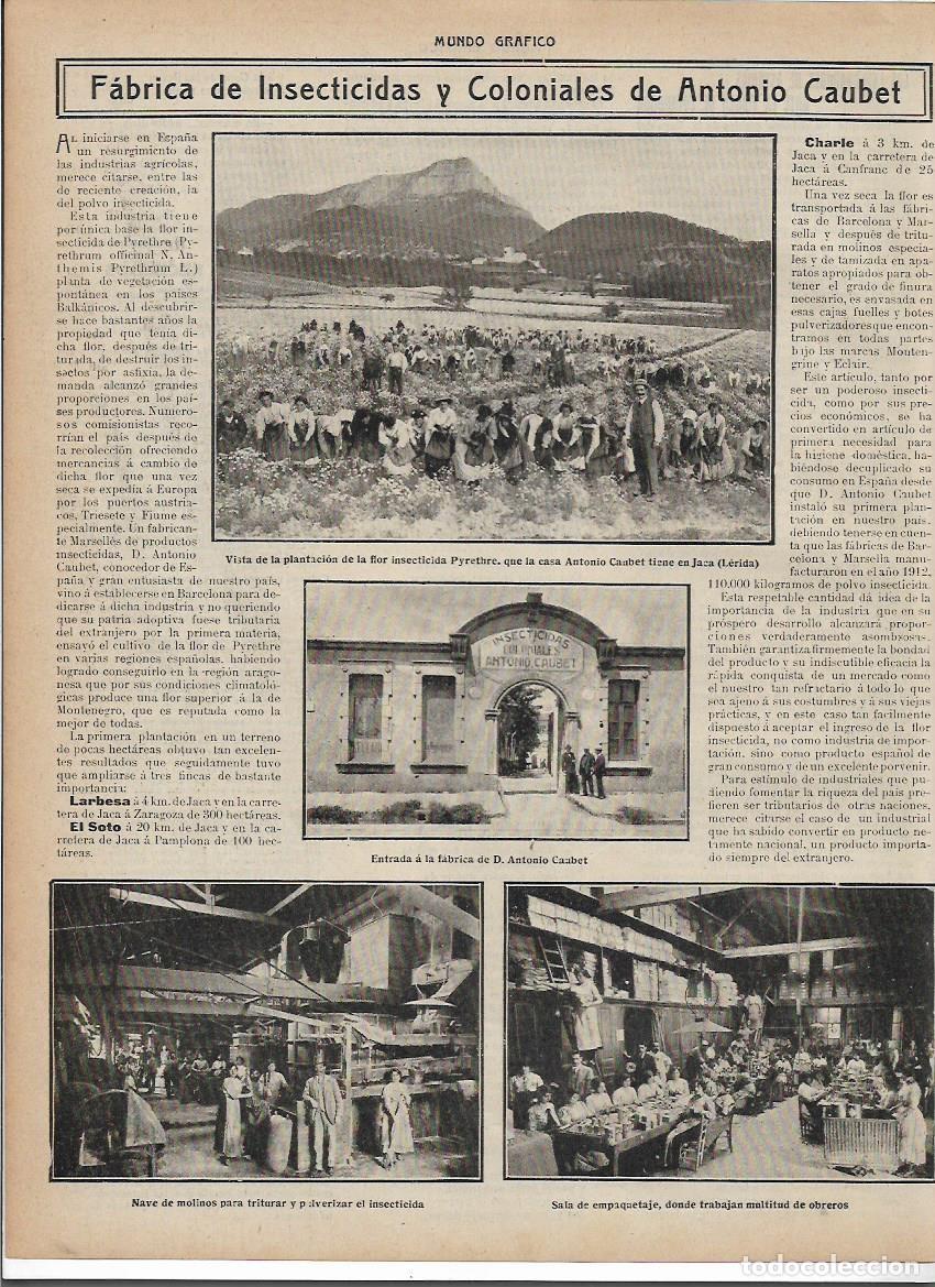 Coleccionismo: A&Ntilde;O 1913 RECORTE PRENSA ANTONIO CAUBET FABRICA DE INSECTICIDAS PLANTACION FLOR INSECTICIDAD PYRETHRE