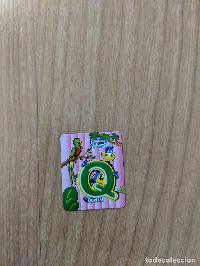Collecting: IM&Aacute;N DANONINO Q