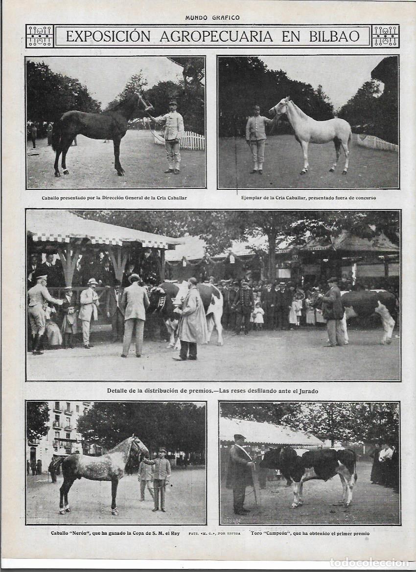 Collectionnisme: A&Ntilde;O 1913 RECORTE PRENSA BILBAO EXPOSICION AGROPECUARIA CABALLOS RESES TORO CAMPEON
