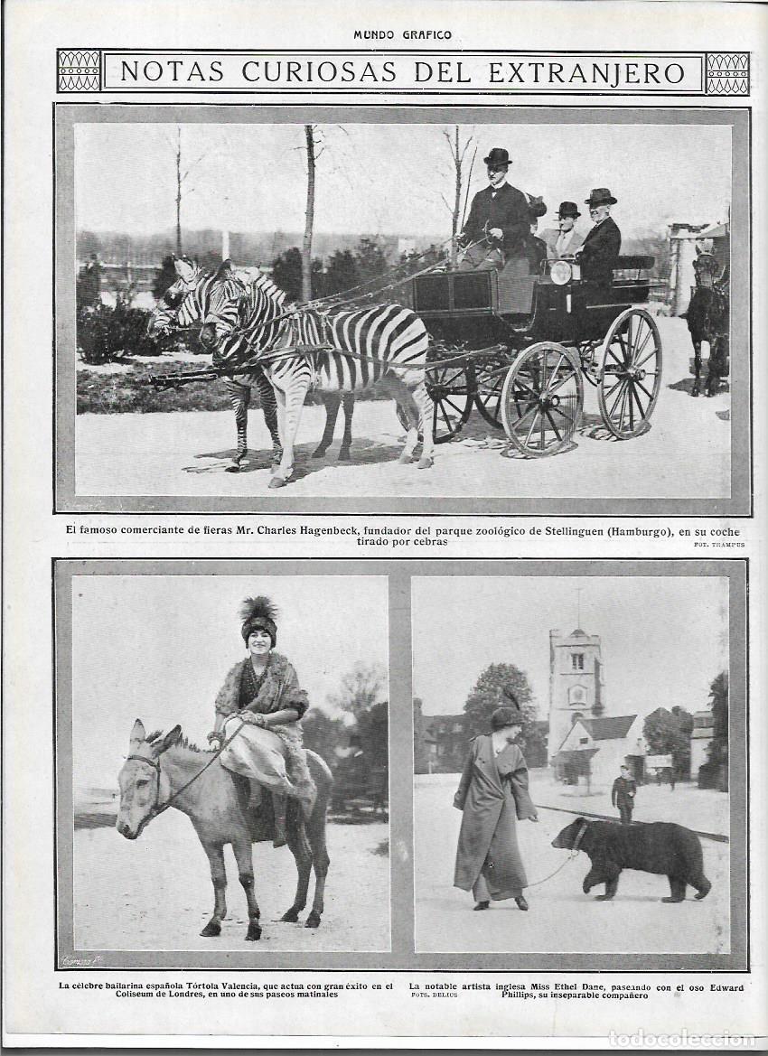 Coleccionismo: A&Ntilde;O 1913 RECORTE PRENSA LONDRES ARTISTA ETHEL DANE PASEANDO CON EL OSO EDWARD PHILLIPS