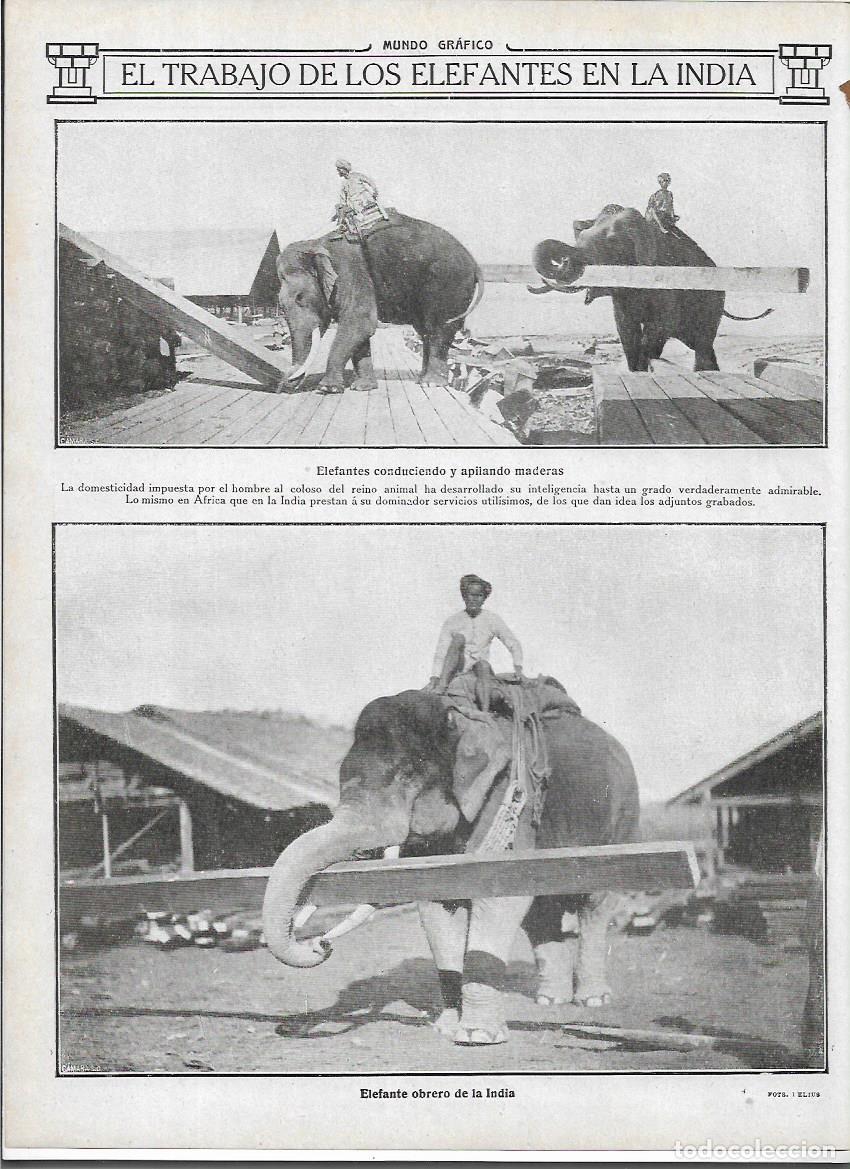 Colecionismo: A&Ntilde;O 1913 RECORTE PRENSA LA INDIA TRABAJO DE LOS ELEFANTES CONDUCCION DE MADERA ELEFANTE OBRERO