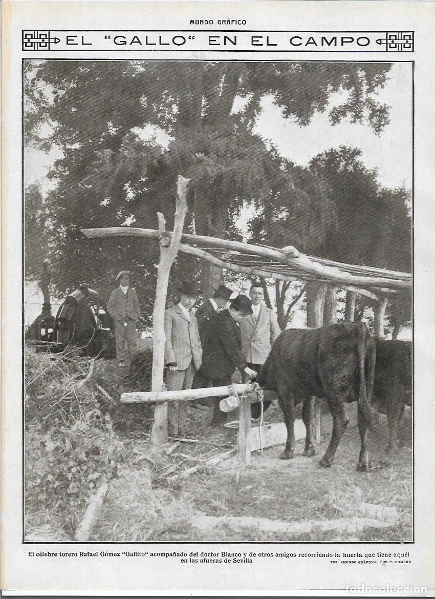 Collezionismo: A&Ntilde;O 1913 RECORTE PRENSA TORERO RAFAEL GOMEZ GALLITO EN LA HUERTA CAMPO DEL DR BLANCO EN SEVILLA
