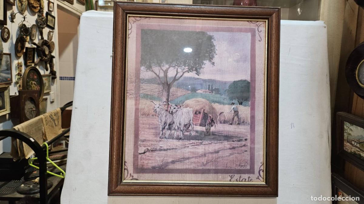 Coleccionismo: cuadro con lamina campo - Foto 1