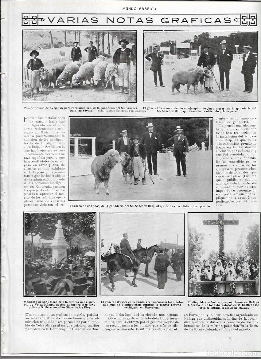 Sammelleidenschaft Papier: A&Ntilde;O 1913 RECORTE PRENSA MADRID CONCURSO GANADOS OVEJAS CARNEROS GANADERIA SANCHEZ DALP DE SEVILLA