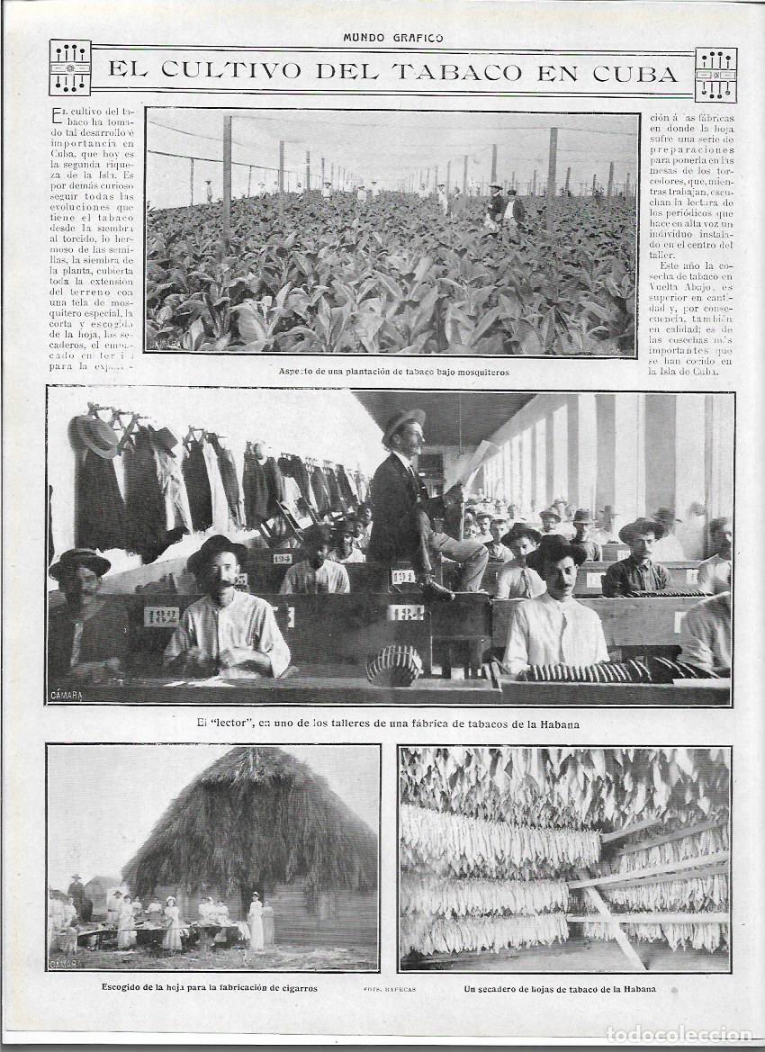 Coleccionismo: A&Ntilde;O 1913 RECORTE PRENSA CUBA CULTIVO DEL TABACO ELABORACION SECADERO TALLER FABRICA PUROS LA HABANA