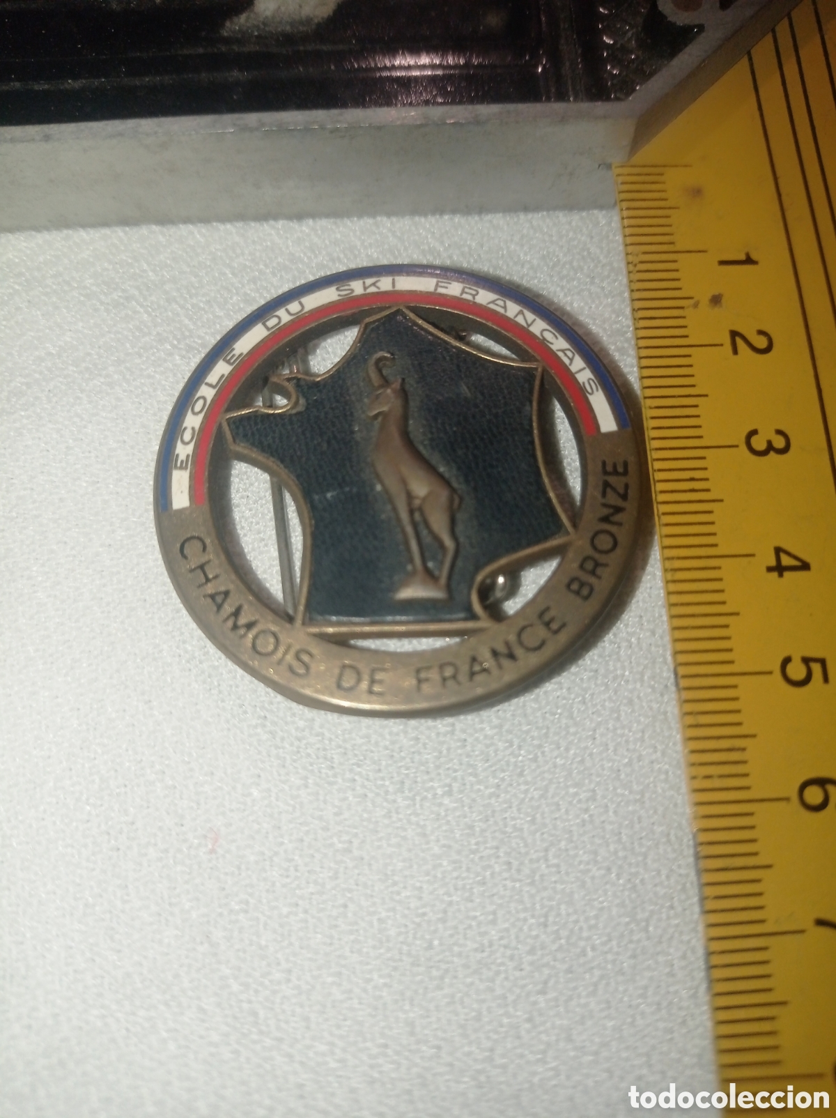 Coleccionismo: ANTIGUA INSIGNIA ESQU&Iacute;, GRAN TAMA&Ntilde;O,CHAMOIS,FRANCIA