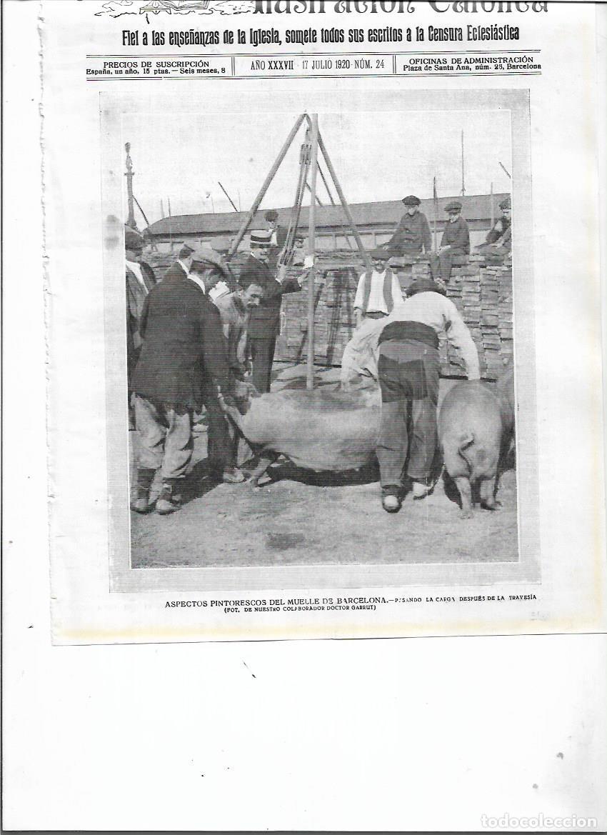 Colecionismo: A&Ntilde;O 1920 RECORTE PRENSA PUERTO MUELLE BARCELONA PESO CARGA DE CERDOS DESPUES DE LA TRAVESIA