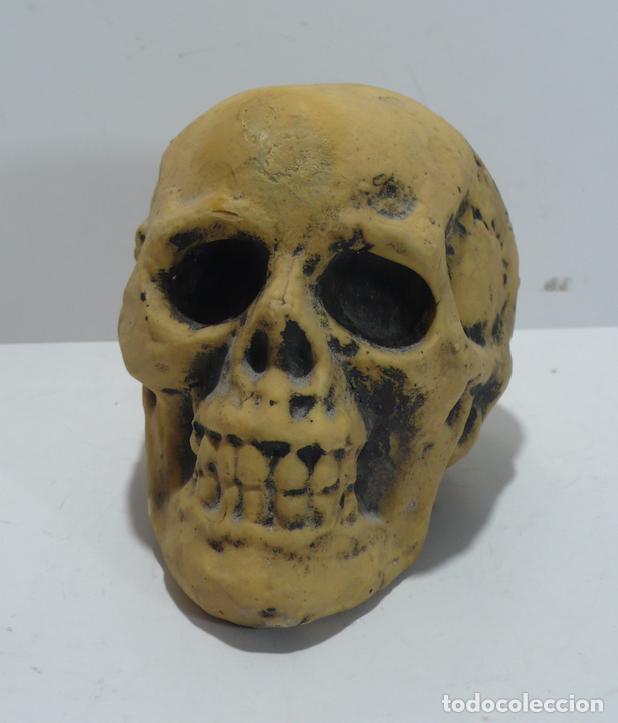 Coleccionismo: PEQUE&Ntilde;A CALAVERA DE RECINA - Foto 1