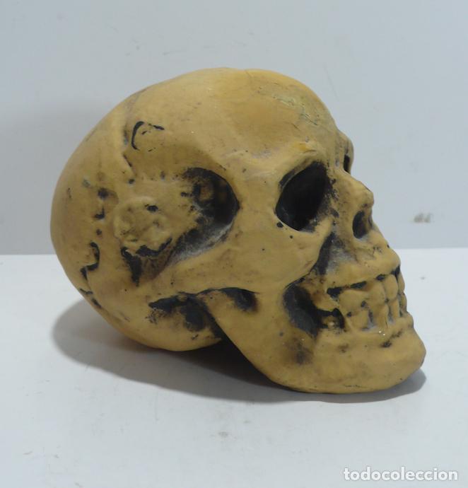 Coleccionismo: PEQUE&Ntilde;A CALAVERA DE RECINA - Foto 2