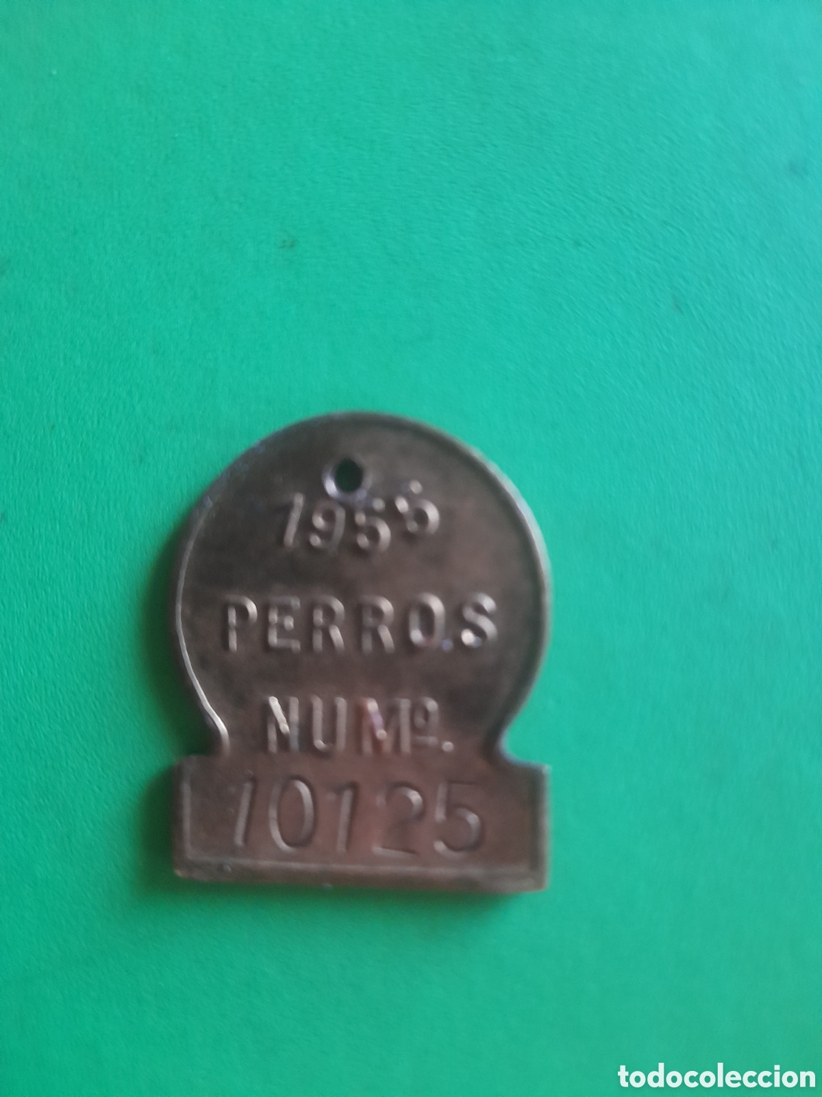 Coleccionismo: Placa de identificaci&oacute;n de perros de 1955 de Madrid