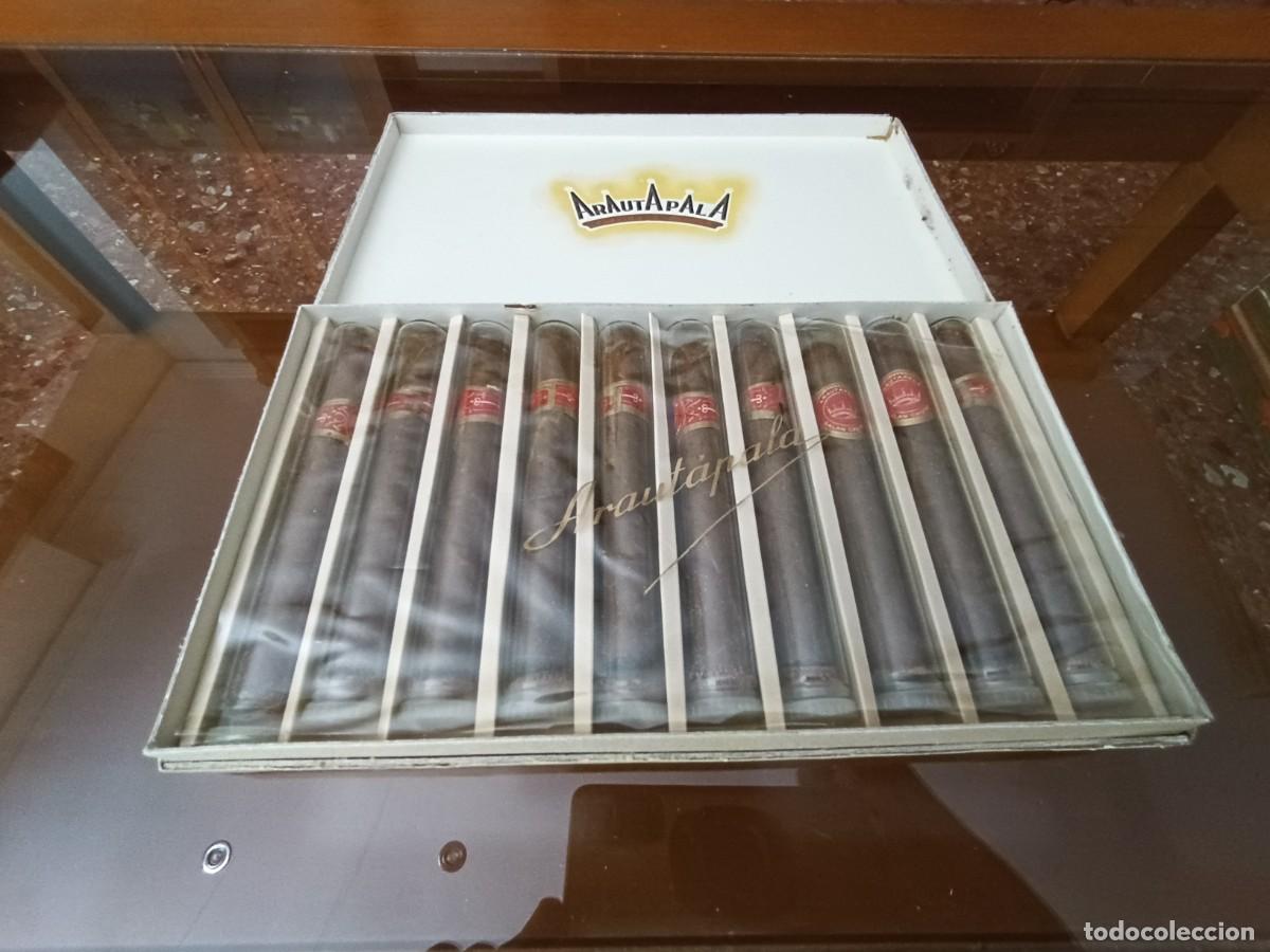 Coleccionismo: Puros Canarios ARAUTAPALA - Foto 2