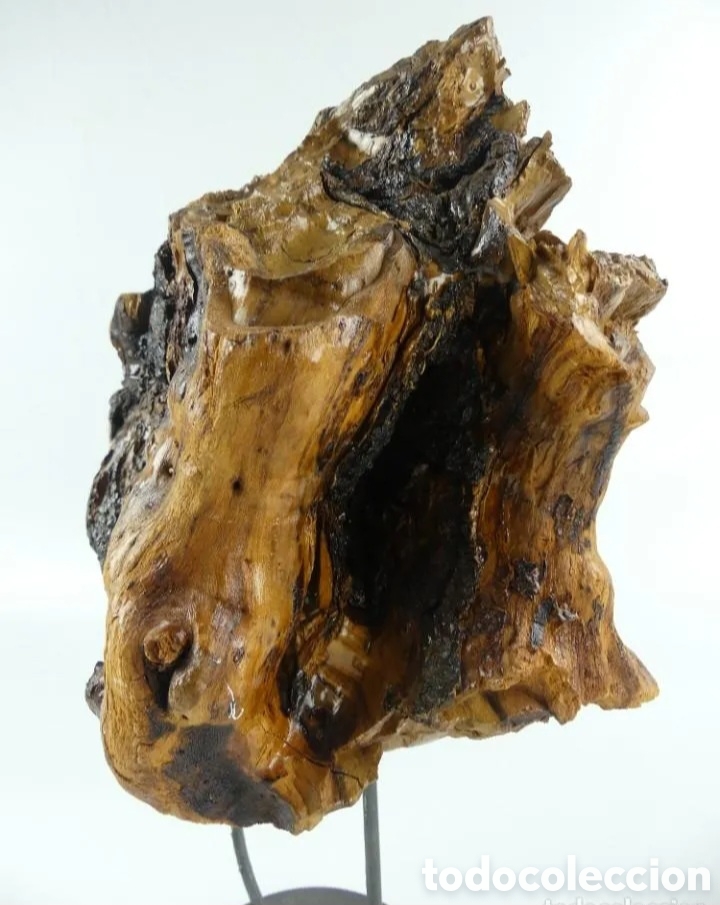 Coleccionismo: Nudo o ra&iacute;z madera decoraci&oacute;n - Foto 4