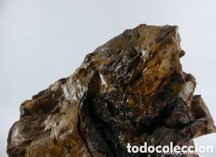 Coleccionismo: Nudo o ra&iacute;z madera decoraci&oacute;n - Foto 5