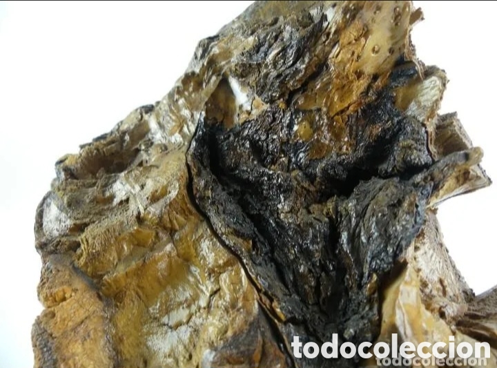 Coleccionismo: Nudo o ra&iacute;z madera decoraci&oacute;n - Foto 6