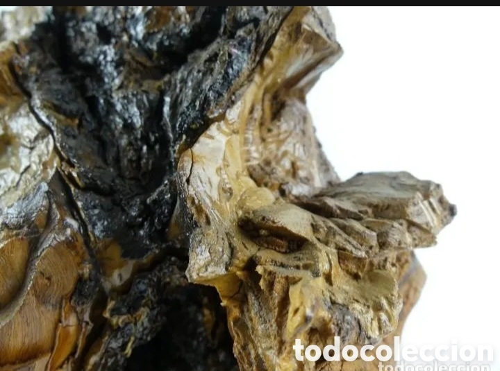 Coleccionismo: Nudo o ra&iacute;z madera decoraci&oacute;n - Foto 7