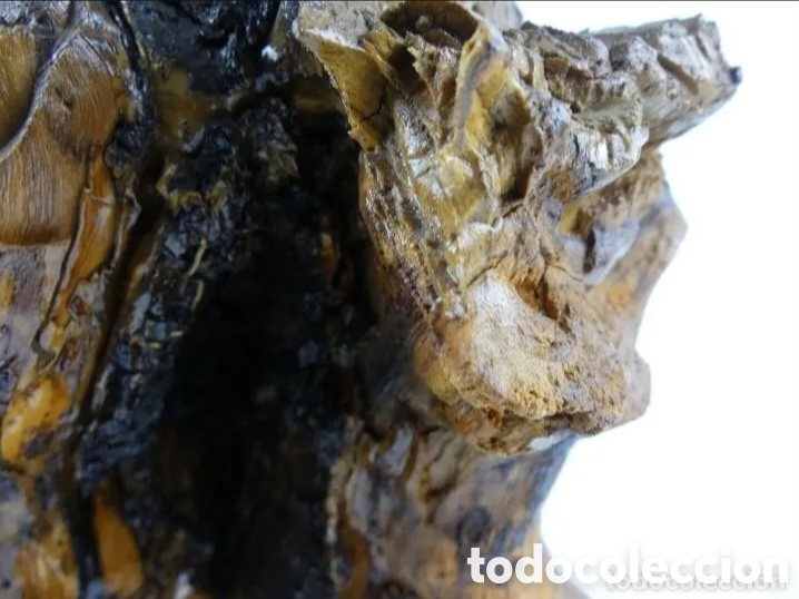 Coleccionismo: Nudo o ra&iacute;z madera decoraci&oacute;n - Foto 8