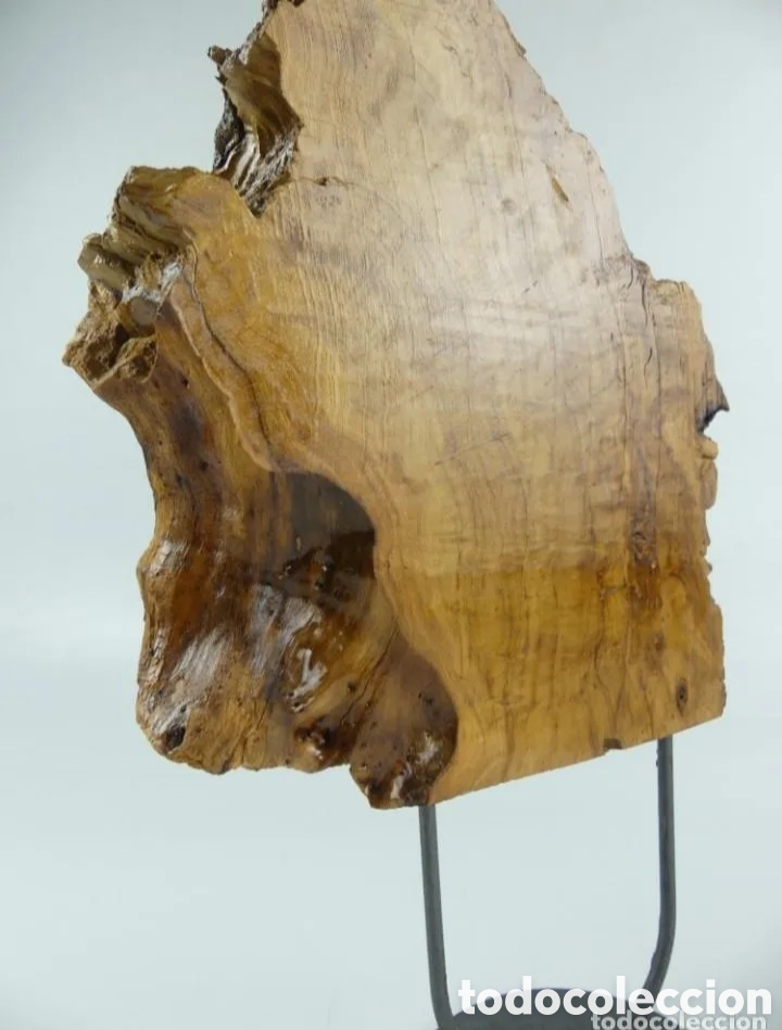 Coleccionismo: Nudo o ra&iacute;z madera decoraci&oacute;n - Foto 9