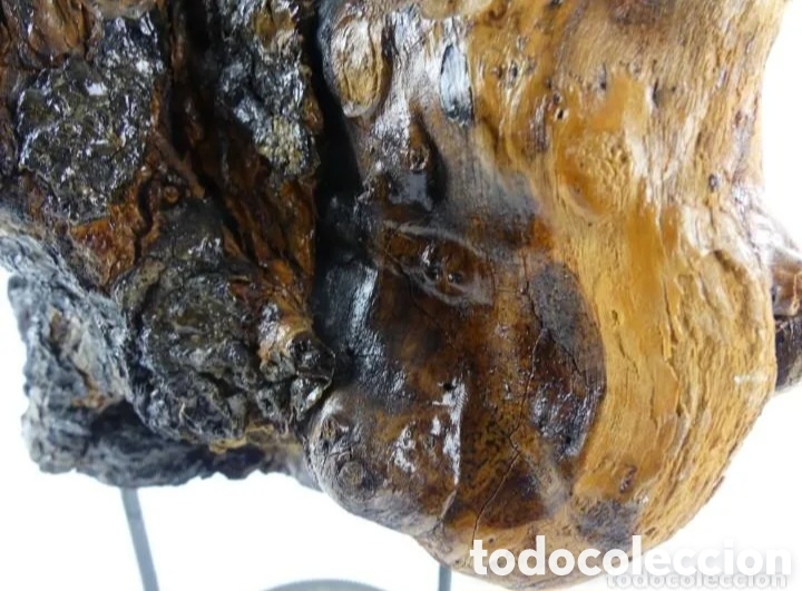 Coleccionismo: Nudo o ra&iacute;z madera decoraci&oacute;n - Foto 10