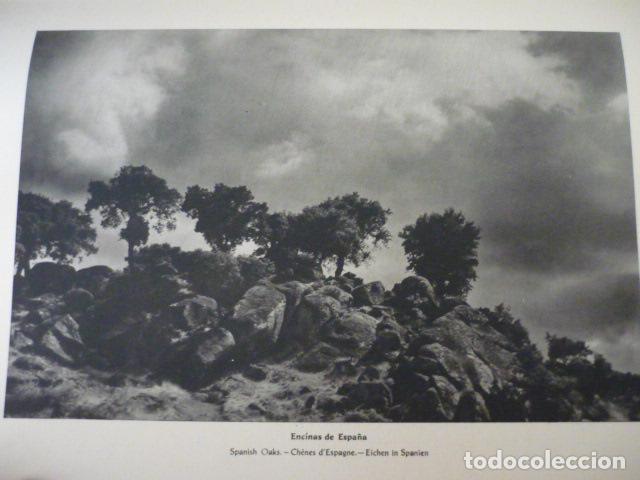 Coleccionismo: SALAMANCA ANTIGUA LAMINA HUECOGRABADO A&Ntilde;OS 40