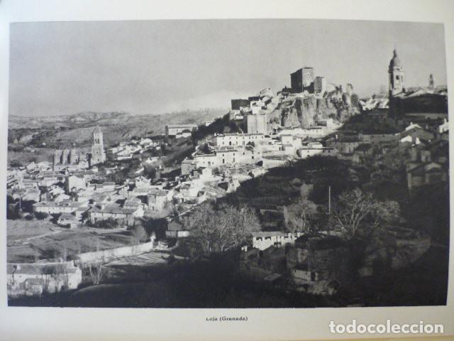 Coleccionismo: LOJA GRANADA ANTIGUA LAMINA HUECOGRABADO A&Ntilde;OS 40