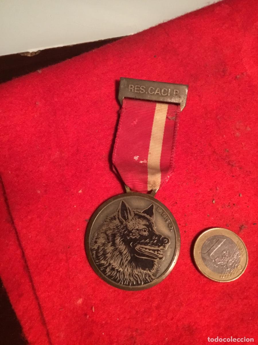 Coleccionismo: Antigua medalla canina - Foto 1