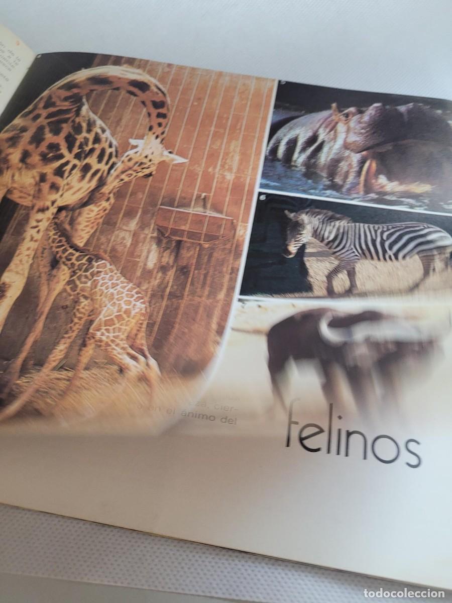 Coleccionismo: COPITO DE NIEVE 1974 - Foto 5