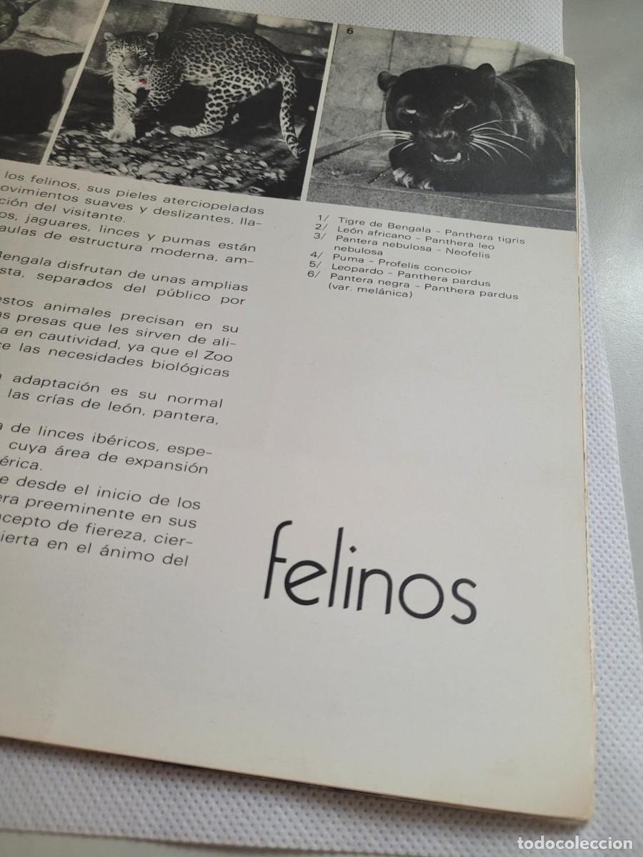 Coleccionismo: COPITO DE NIEVE 1974 - Foto 6