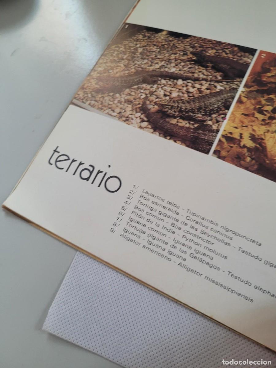 Coleccionismo: COPITO DE NIEVE 1974 - Foto 8