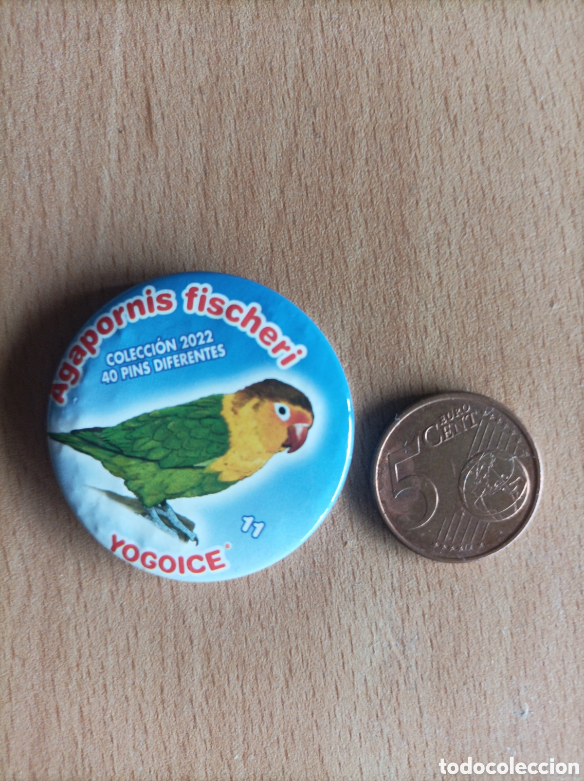 Sammeln: HELADOS YOGOICE CHAPA IMANES PIN AGAPORNIS FISCHERI N&Uacute;MERO 11