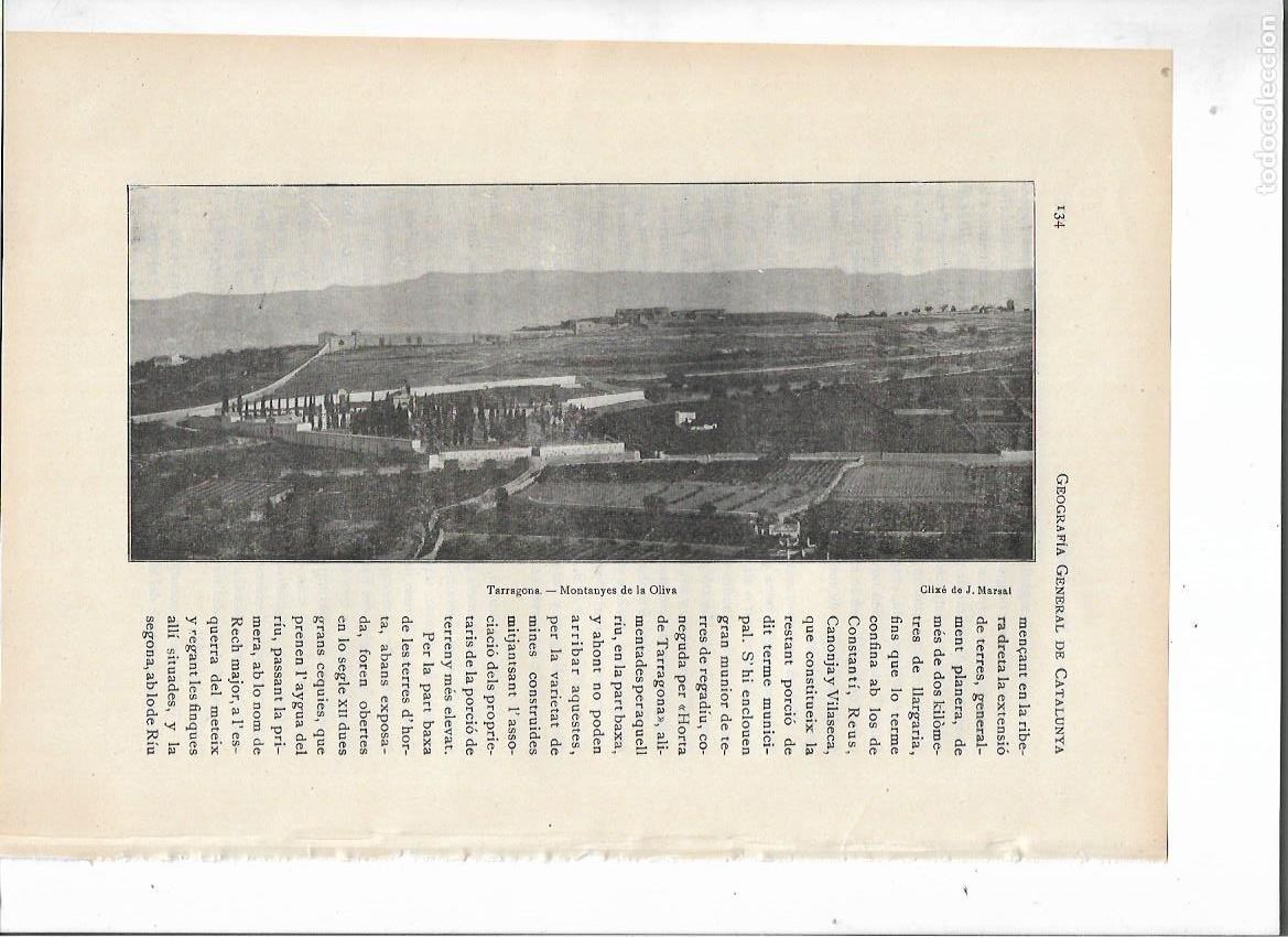 Collectionnisme: A&Ntilde;O 1913 RECORTE PRENSA TARRAGONA MONTA&Ntilde;A MUNTANYES DE LA OLIVA