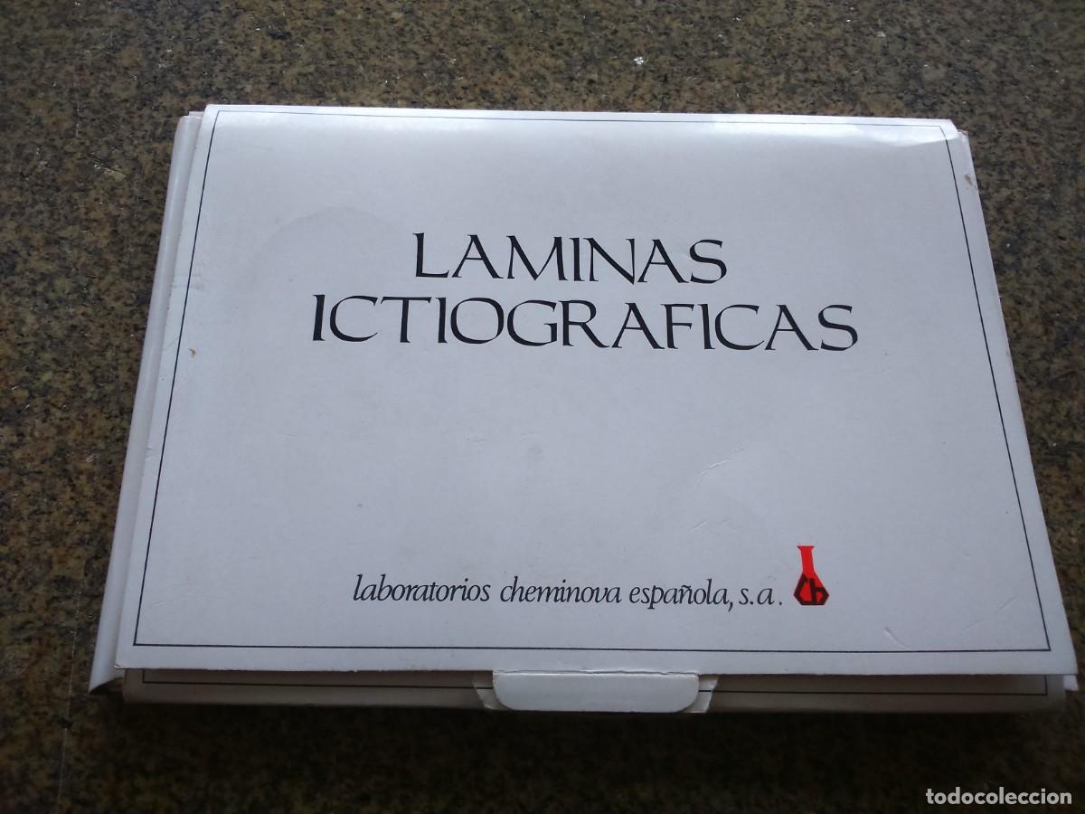 Coleccionismo: LAMINAS ICTIOGRAFICAS -- LABORATORIOS CHEMINOVA -- 45 LAMINAS COMPLETO --