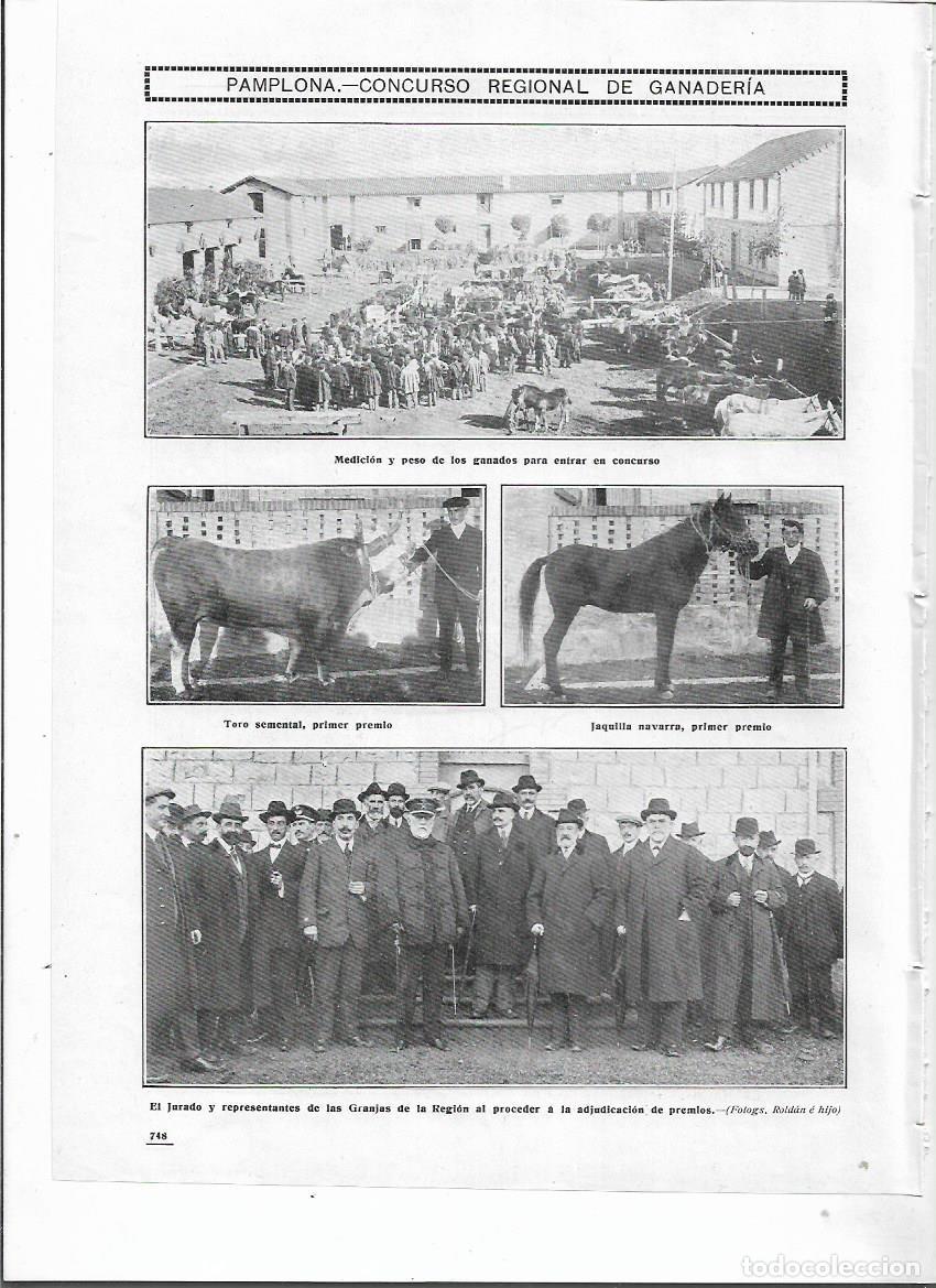 Colecionismo: A&Ntilde;O 1911 RECORTE PRENSA PAMPLONA CONCURSO REGIONAL GANADO TORO SEMENTAL JAQUILLA NAVARRA JURADO