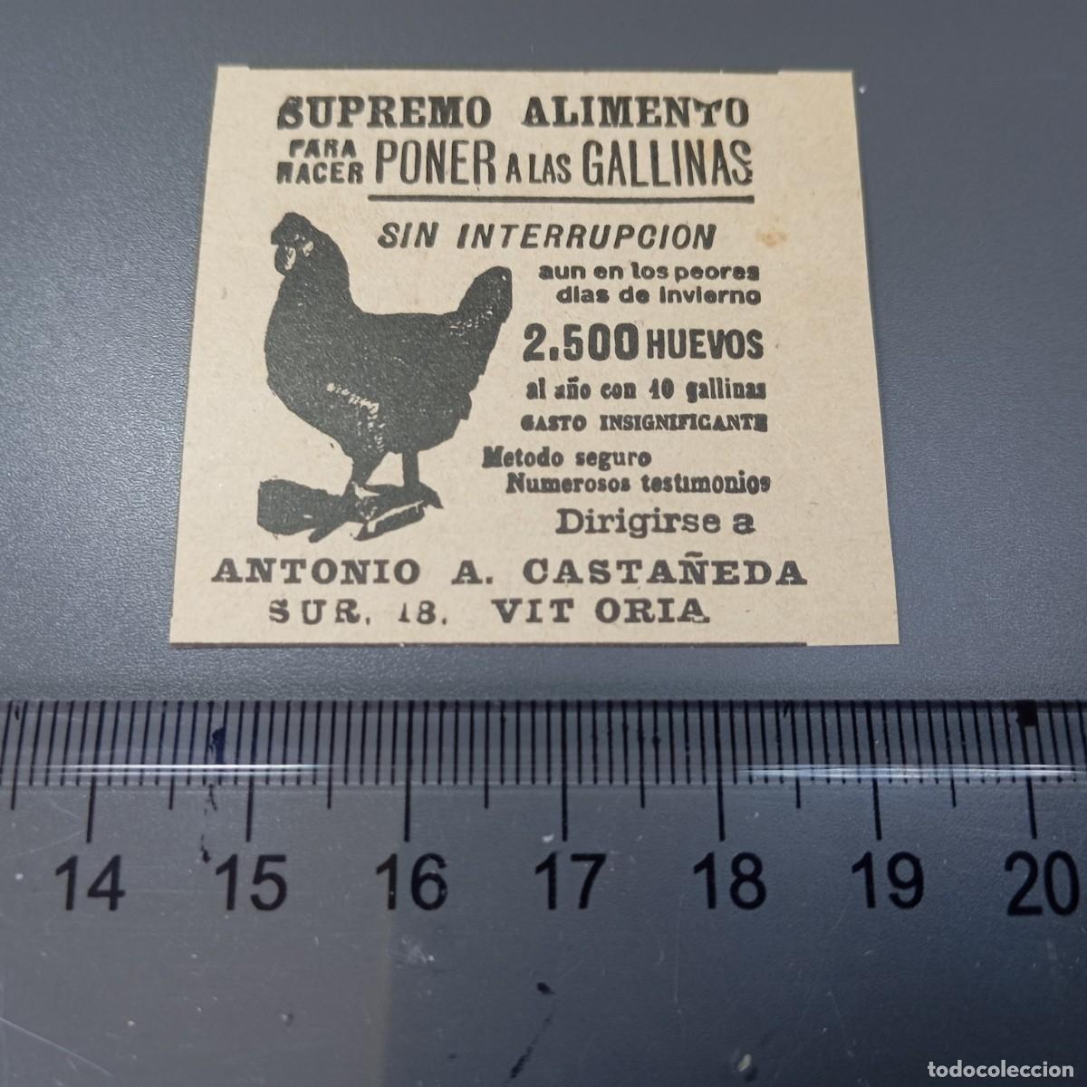 Coleccionismo: ⚜️ A&ntilde;o 1909. Supremo alimento para gallinas, Antonio Casta&ntilde;eda. Publicidad. Recorte