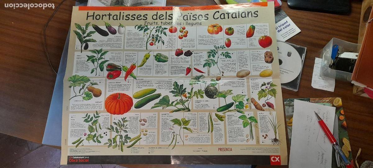 Coleccionismo: 1. Hortalisses dels Pa&Iacute;sos Catalans. P&ograve;ster