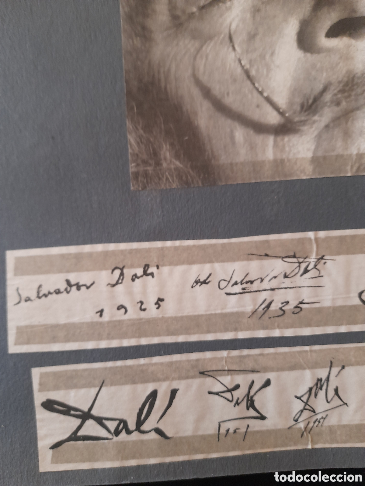 Coleccionismo: Documento peri&oacute;distico con las firmas de Dali - Foto 3