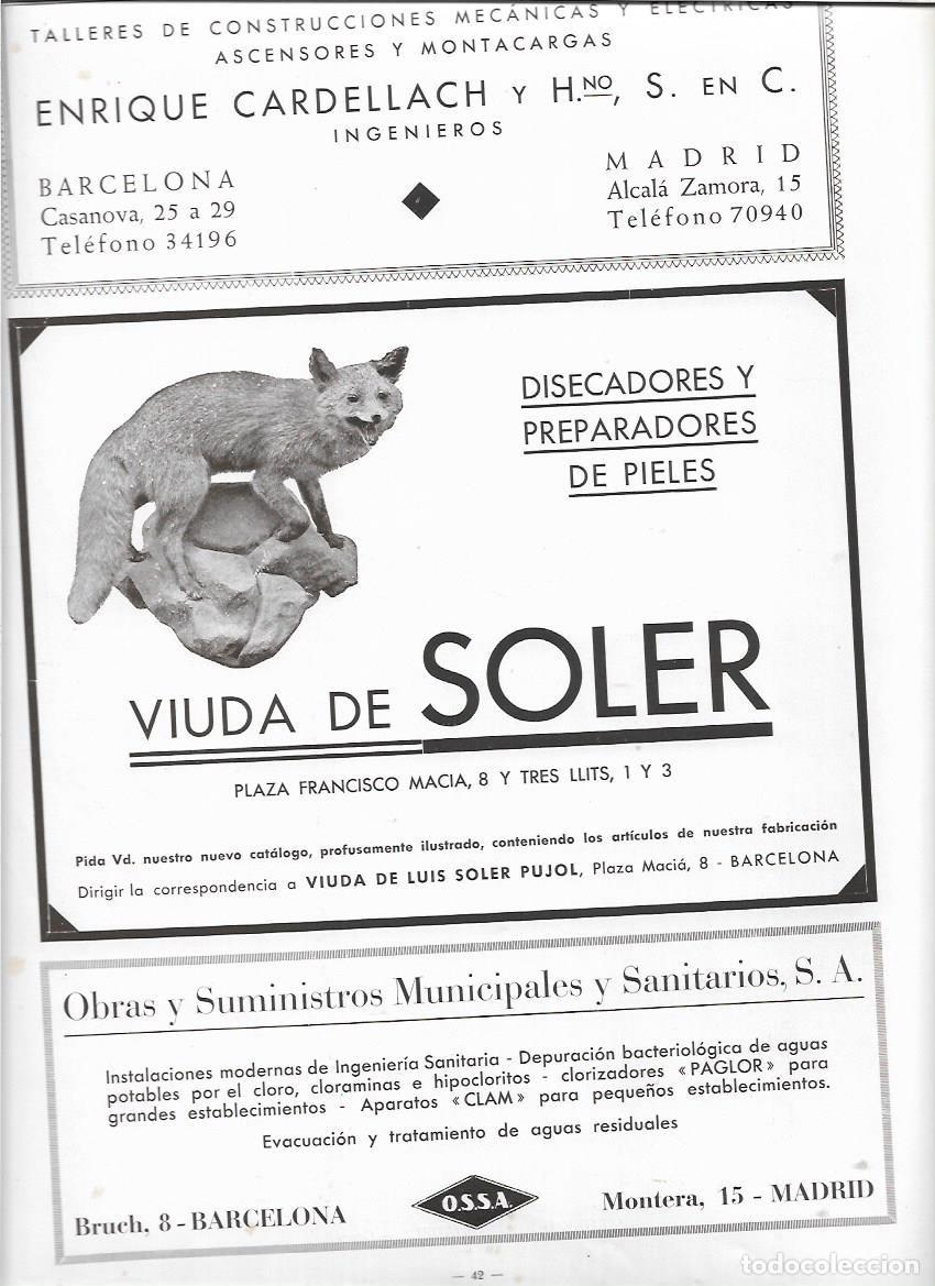 Collecting paper: A&Ntilde;O 1931 1932 RECORTE PRENSA PUBLICIDAD VIUDA DE LUIS SOLER PUJOL DISECADORES DE PIEL PIELES BCNA