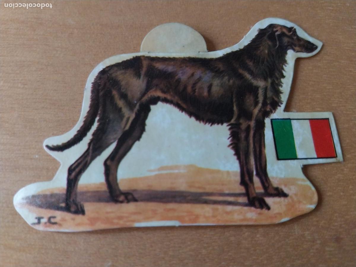 Coleccionismo: PANRICO GALGO IRLANDES * N&ordm; 81 CROMO SIN PEGAR NUNCA TROQUELADO PERROS A&Ntilde;OS 70 PASTELITOS PROMO
