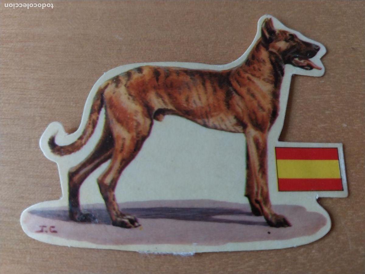 Coleccionismo: PANRICO ALANO * N&ordm; 39 CROMO SIN PEGAR NUNCA TROQUELADO PERROS A&Ntilde;OS 70 PASTELITOS PROMO