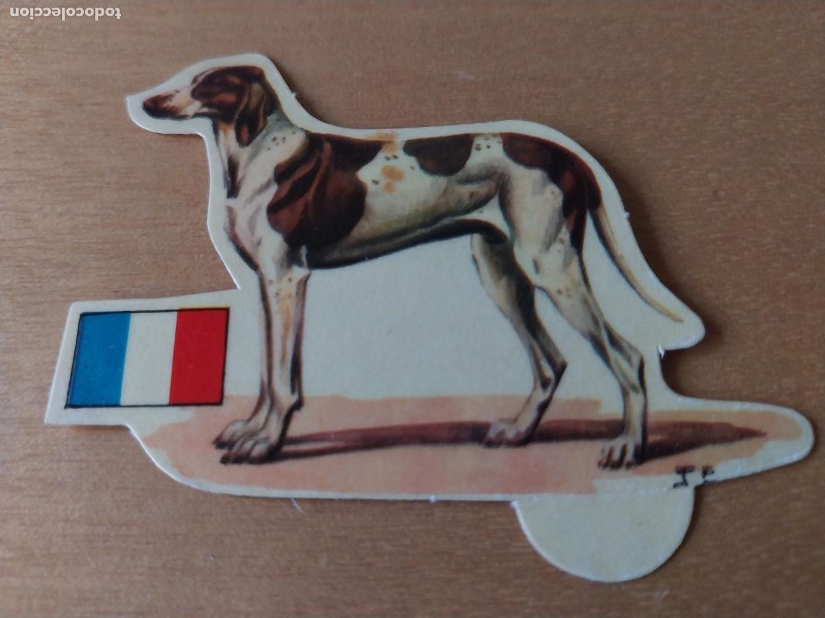 Coleccionismo: PANRICO BRAQUE DUPUY * N&ordm; 6 CROMO SIN PEGAR NUNCA TROQUELADO PERROS A&Ntilde;OS 70 PASTELITOS PROMO