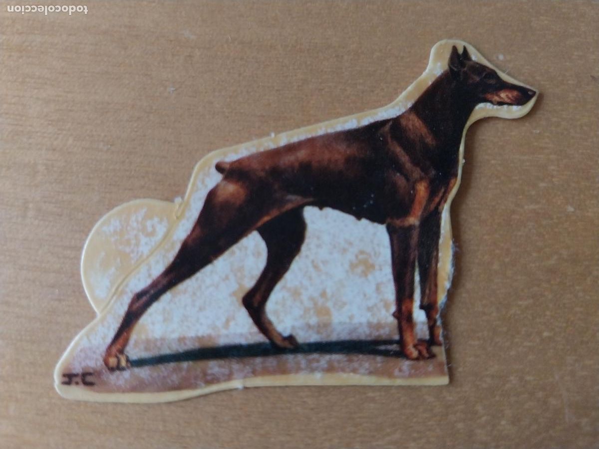 Coleccionismo: PANRICO DOBERMAN PINSHER * N&ordm; 93 CROMO SIN PEGAR NUNCA TROQUELADO PERROS A&Ntilde;OS 70 PASTELITOS PROMO
