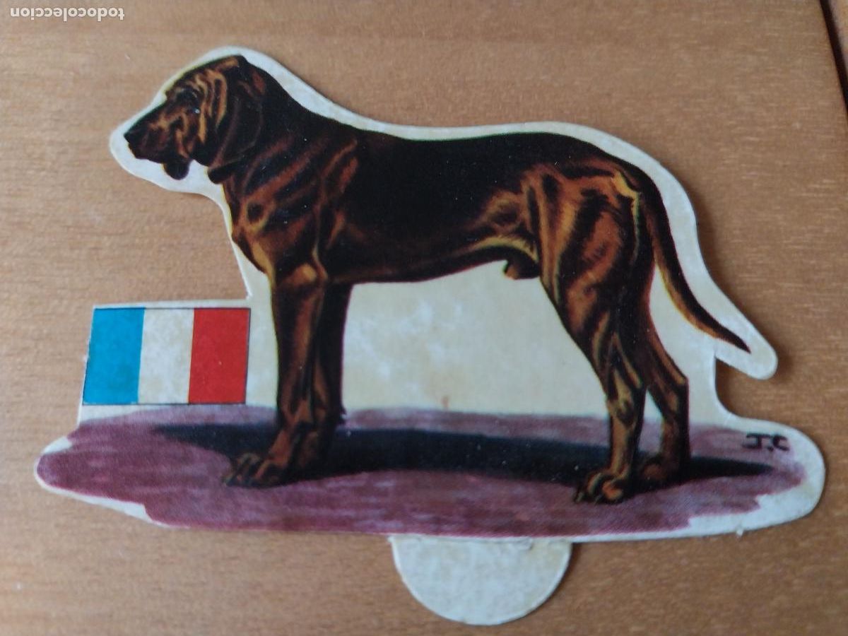 Coleccionismo: PANRICO PERRO SAN HUMBERTO ** N&ordm; 54 CROMO SIN PEGAR NUNCA TROQUELADO PERROS A&Ntilde;OS 70 PASTELITOS PROMO