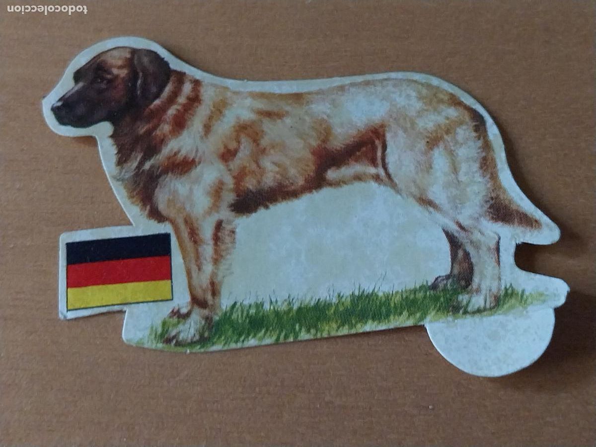 Coleccionismo: PANRICO PERRO LEONBERG * * N&ordm; 2 CROMO SIN PEGAR NUNCA TROQUELADO PERROS A&Ntilde;OS 70 PASTELITOS PROMO