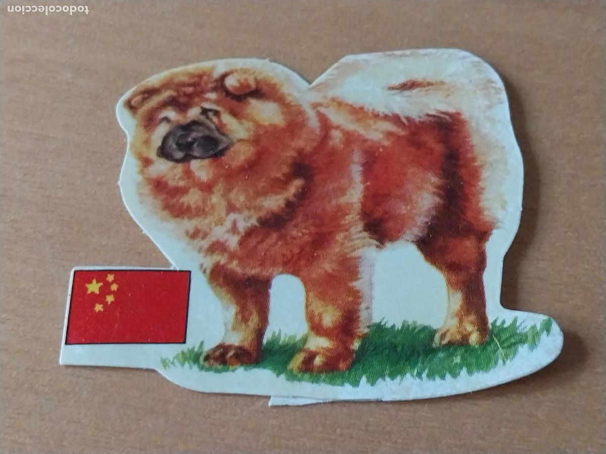 Coleccionismo: PANRICO CHOW CHOW * * N&ordm; 72 CROMO SIN PEGAR NUNCA TROQUELADO PERROS A&Ntilde;OS 70 PASTELITOS PROMO