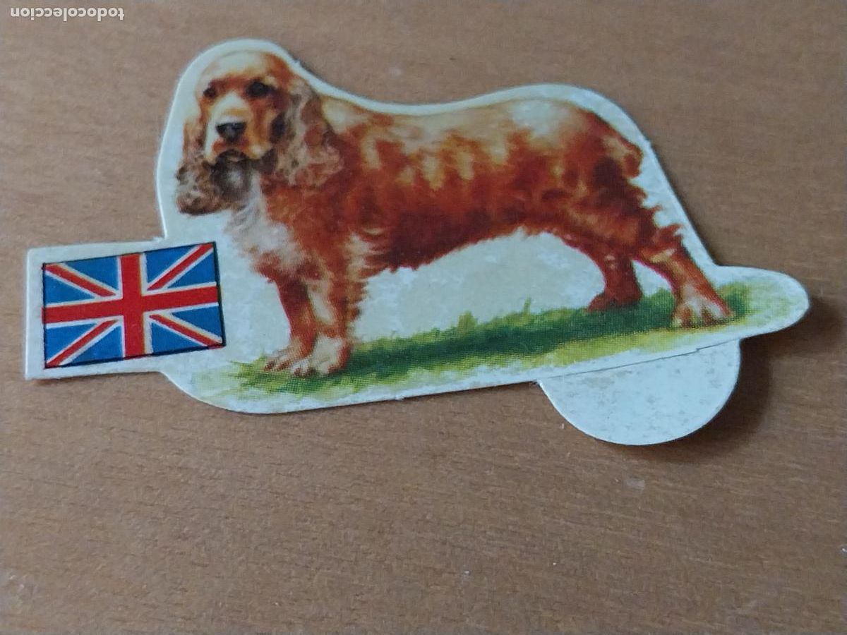 Coleccionismo: PANRICO COCKER SPANIEL * * N&ordm; 29 CROMO SIN PEGAR NUNCA TROQUELADO PERROS A&Ntilde;OS 70 PASTELITOS PROMO