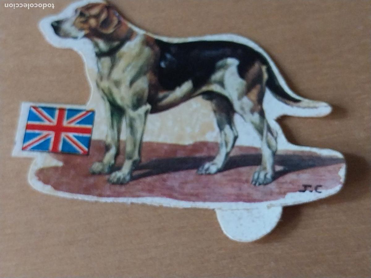 Coleccionismo: PANRICO FOXHOUND * * N&ordm; 14 CROMO SIN PEGAR NUNCA TROQUELADO PERROS A&Ntilde;OS 70 PASTELITOS PROMO