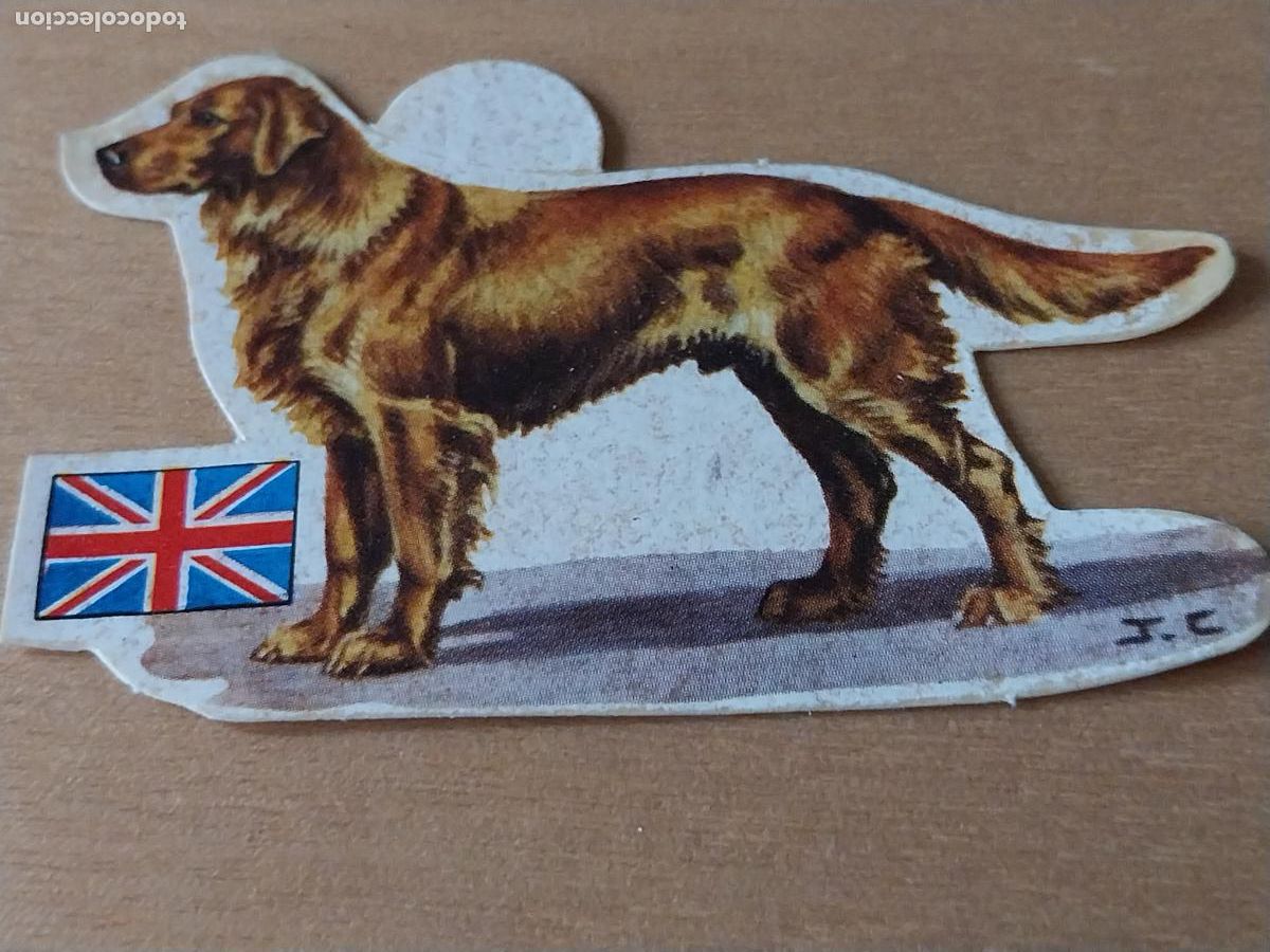 Coleccionismo: PANRICO GOLDEN RETRIEVER * * N&ordm; 42 CROMO SIN PEGAR NUNCA TROQUELADO PERROS A&Ntilde;OS 70 PASTELITOS PROMO