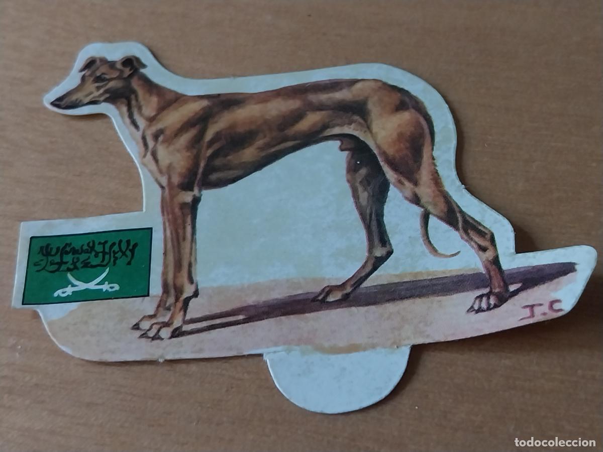 Coleccionismo: PANRICO GALGO ARABE * * N&ordm; 51 CROMO SIN PEGAR NUNCA TROQUELADO PERROS A&Ntilde;OS 70 PASTELITOS PROMO